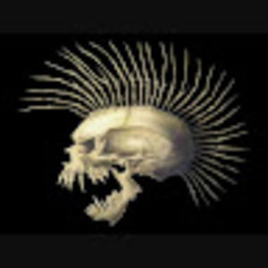 Meet your Posher, Caleb